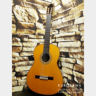 TAKAMINE PT-310 エレアコ ハードケース付 アコギ タカミネ www