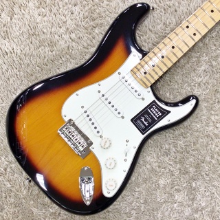 FenderPlayer Stratocaster Maple Anniversary 2-Color Sunburst