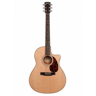 Larriveeラリビー LV-05 MH Select Series アコースティックギター