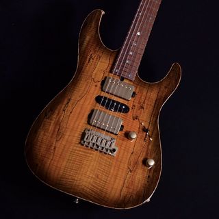 T's Guitars DST-Pro24 5A Roasted Flame Maple Neck / Brazilian Rosewood Fingerboard【サウンドメッセ2023出展品】