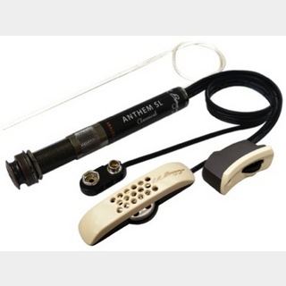 L.R.Baggs、Elementの検索結果【楽器検索デジマート】