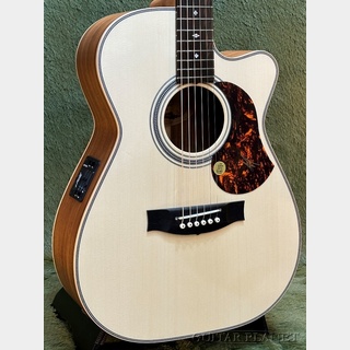 MATON／EBG808C Artist｜NEW GEAR SOUND CHECK featuring Seiji