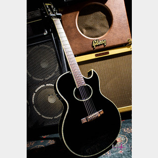 Washburn EA40SNB Black