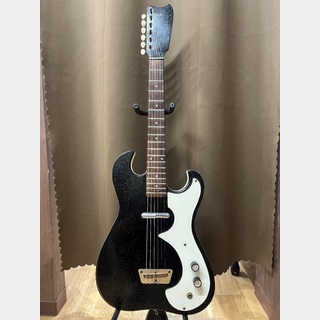 Silvertoneの検索結果【楽器検索デジマート】