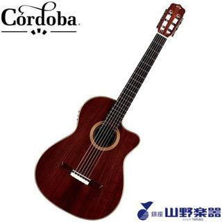 Cordoba エレガットギター FUSION 12 ROSE II