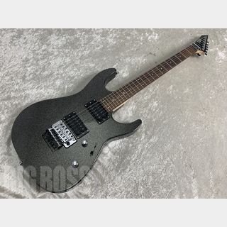 ESP M-II DX/R (Titan Metal)