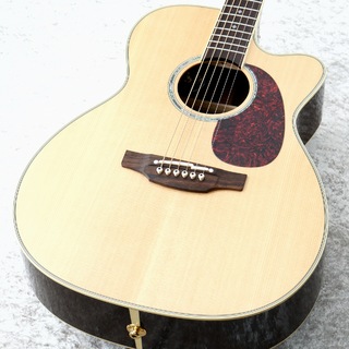 エレクトリック・アコースティックギター、Takamineの検索結果【楽器