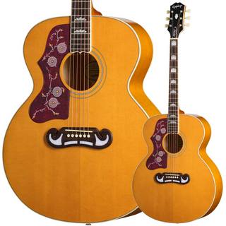 Epiphone dot Studioの検索結果【楽器検索デジマート】