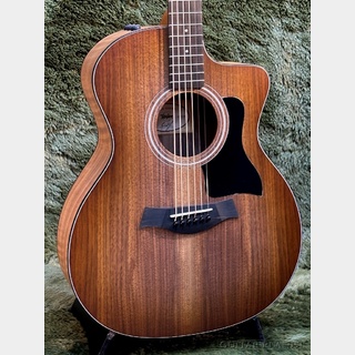 Taylor 124ce Special Edition -Walnut Top- #2208093055【48回迄金利0%対象】【送料当社負担】