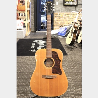 アコースティックギター、Gibson、J-50、J-50の検索結果【楽器
