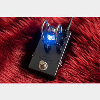 BeyondBeyond Tube Preamp Bass Wired 2S Blue LED【横浜店】