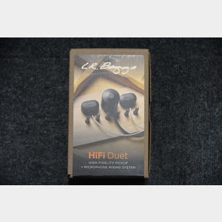 L.R.Baggs HiFi Duet