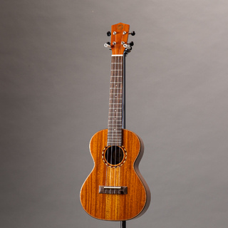 DCTの検索結果【楽器検索デジマート】