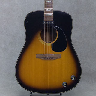 Gibson J-160E