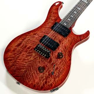 エレクトリックギター ＞ その他、paulreedsmith(prs)、custom24の検索