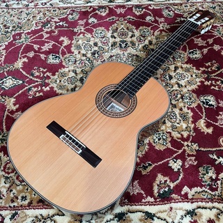 KODAIRA AST-100/C クラシックギター 650ｍｍ 杉単板コダイラ