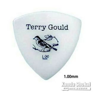 PICKBOYGP-TG-R/100 Terry Gould Guitar Pick Triangle 1.00mm, White