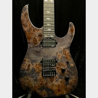 Legator Ninja N6SS -Black Burl- 2024年製【軽量3.22kg!】【美品中古品】【Stainless Steel Frets!】