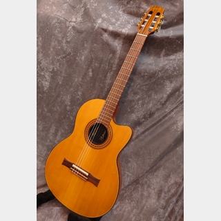 Gibson Chet Atkinsの検索結果【楽器検索デジマート】 Gibson Chet Atkinsの検索結果【楽器検索デジマート】