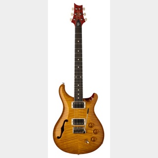 Paul Reed Smith(PRS) DGT Semi-Hollow Limited Edition -McCarty Sunburst- 全世界200本限定/国内僅少入荷モデル【予約受付中】