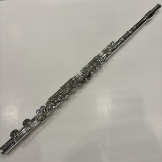 Altus A807E　Altus アルタス リッププレート銀製