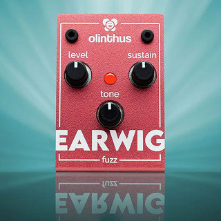 Olinthus Earwig【即納可能】
