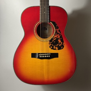 Morris 【現物画像】F12