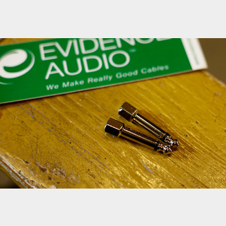 EVIDENCE AUDIO SIS PLUG | ストレート | ニッケル