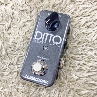 tc electronicDitto Looper 【ルーパー】【展示入替特価】