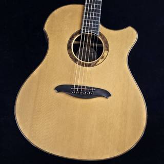アコースティックギター／エレクトリック・アコースティックギター