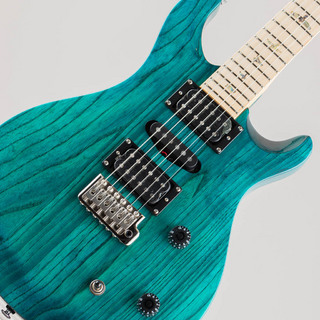 Paul Reed Smith(PRS) SE Swamp Ash Special Iri Blue