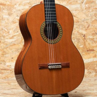 アコースティックギター　alhambra Amazon | Alhambra アルハンブラ エレクトリッククラシック
