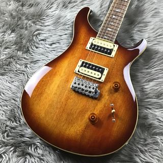 Paul Reed Smith(PRS) SE STANDARD 24 エレキギター