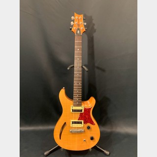 PRS SE Custom 22 Semi-Hollow