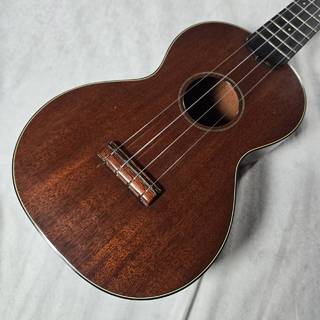 Martin Style-1C【中古現物画像】