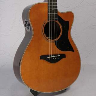 YAMAHA AC5R ARE Vintage Natural 【名古屋栄店】