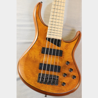 MTDの検索結果【楽器検索デジマート】