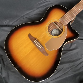 fender、Newporter Playerの検索結果【楽器検索デジマート】