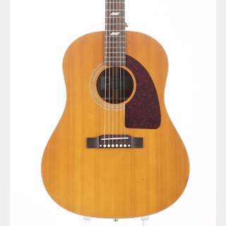 アコースティックギター／エレクトリック・アコースティックギター