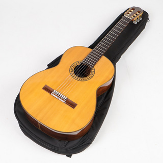 クラシック・ギター／フラメンコ・ギター【楽器検索デジマート】