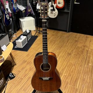 Takamine DMP50S/WR エレアコギター タカミネ 島村楽器 x