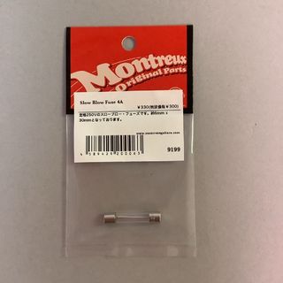 Montreux MON/9199 Slow Blow Fuse 4A　フューズ