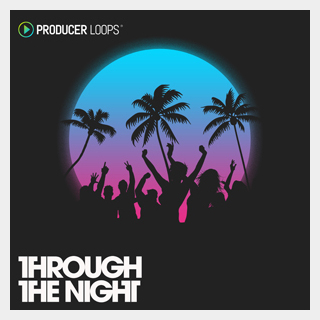 PRODUCER LOOPSTHROUGH THE NIGHT