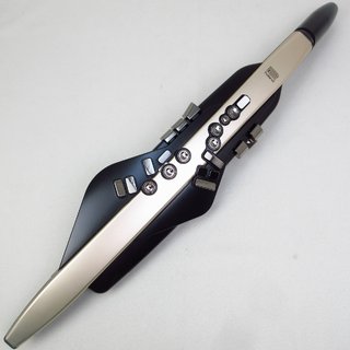 Roland AE-20SC Aerophone エアロフォン 【横浜店】
