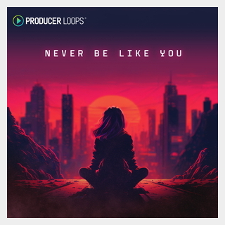 PRODUCER LOOPS NEVER BE LIKE YOU