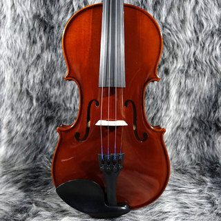 ENA VIOLIN Violin Set No.10 4/4