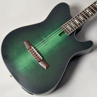 エレガットギターの検索結果【楽器検索デジマート】