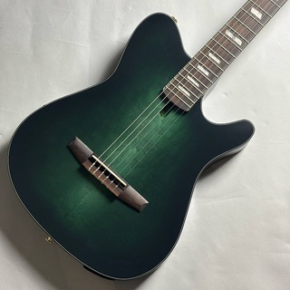 エレガットギターの検索結果【楽器検索デジマート】