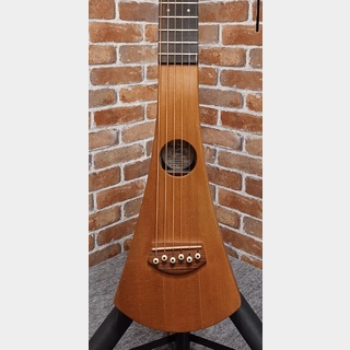 アコースティックギター／エレクトリック・アコースティックギター