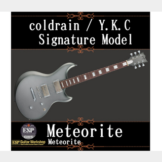ESP Meteorite ~coldrain Y.K.C signature model~